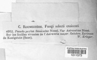 Image Associated With the Occurence